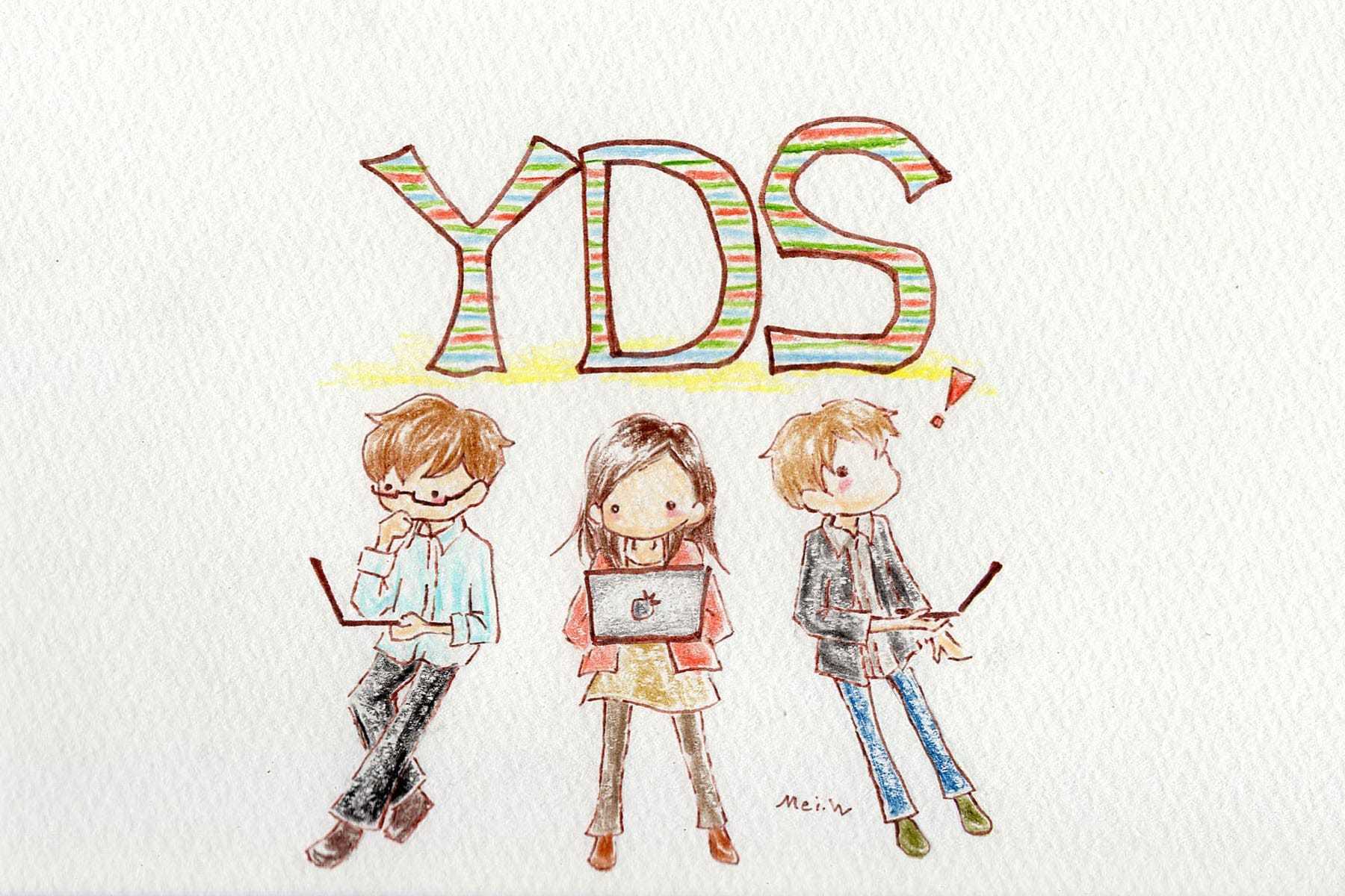 超初心者から見るYDSの魅力 cover image